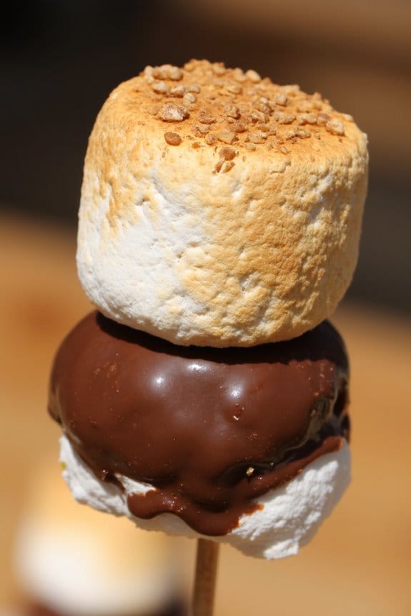 delicious grilled chocolate marshmallows